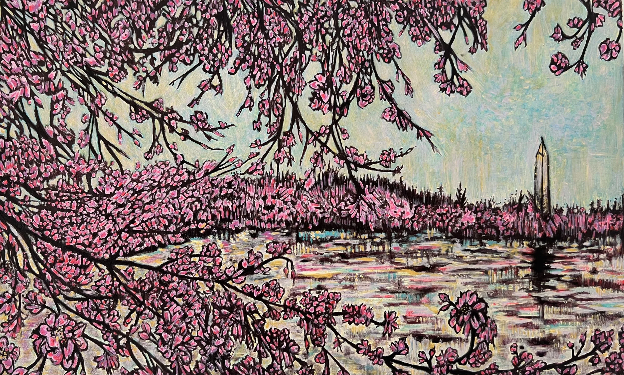 Cherry Blossoms In The Tidal Basin 