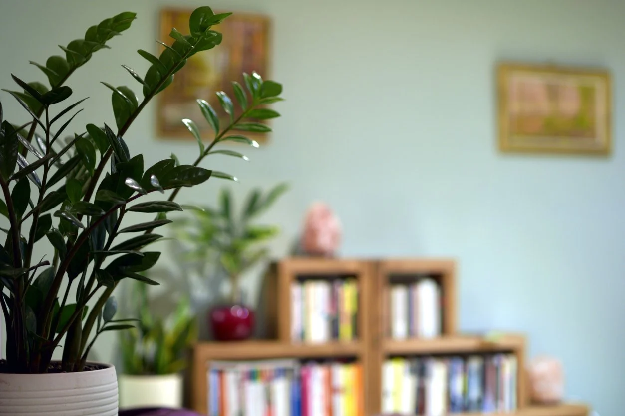 Navigating Adult ADHD: Diagnosis, Support, and Who Does What