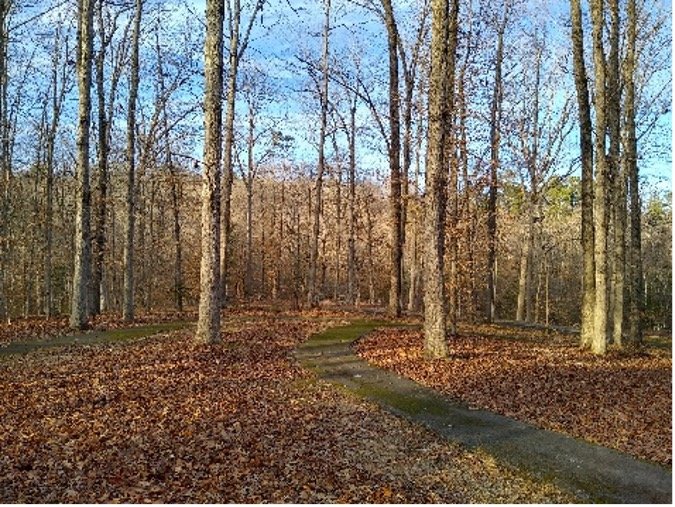 A trail for every ability