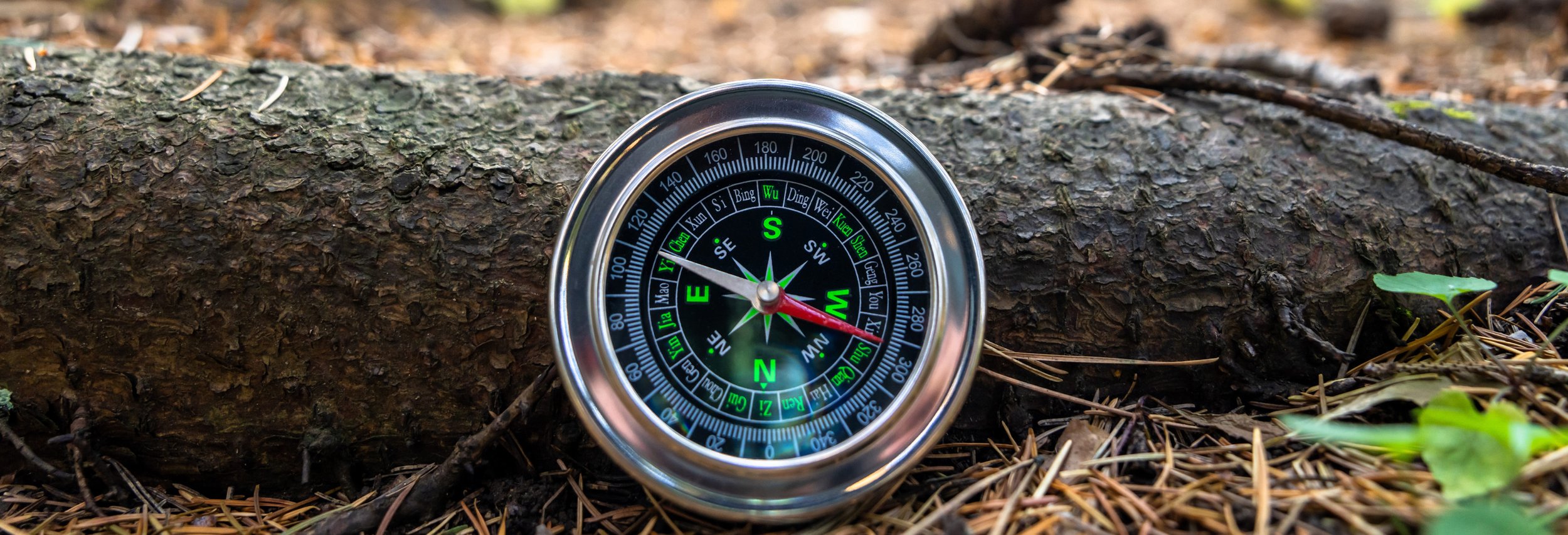 Navigating complex terrain