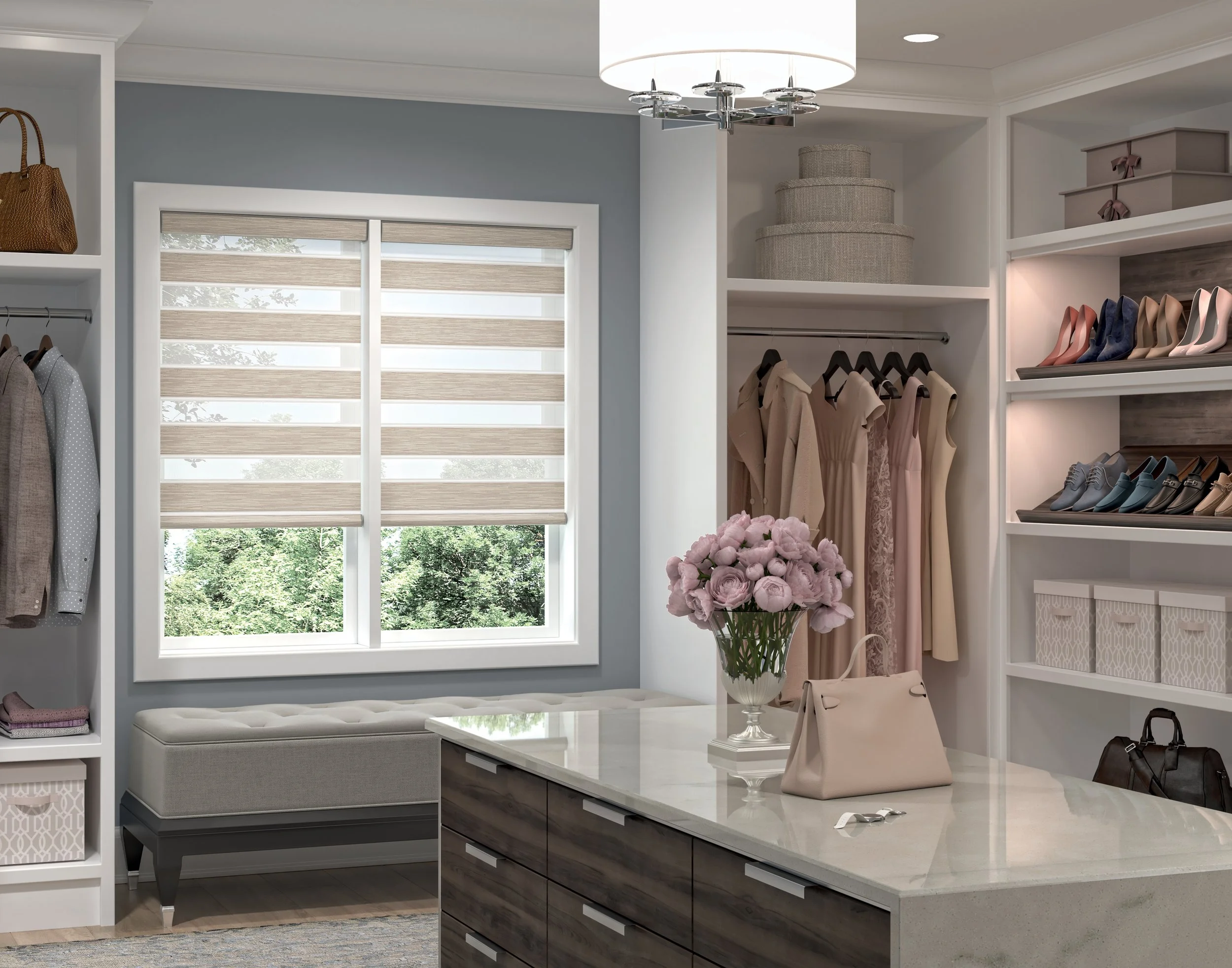 Transitional Shades