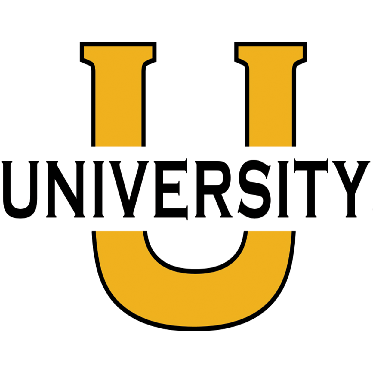 University Lab School Foundation