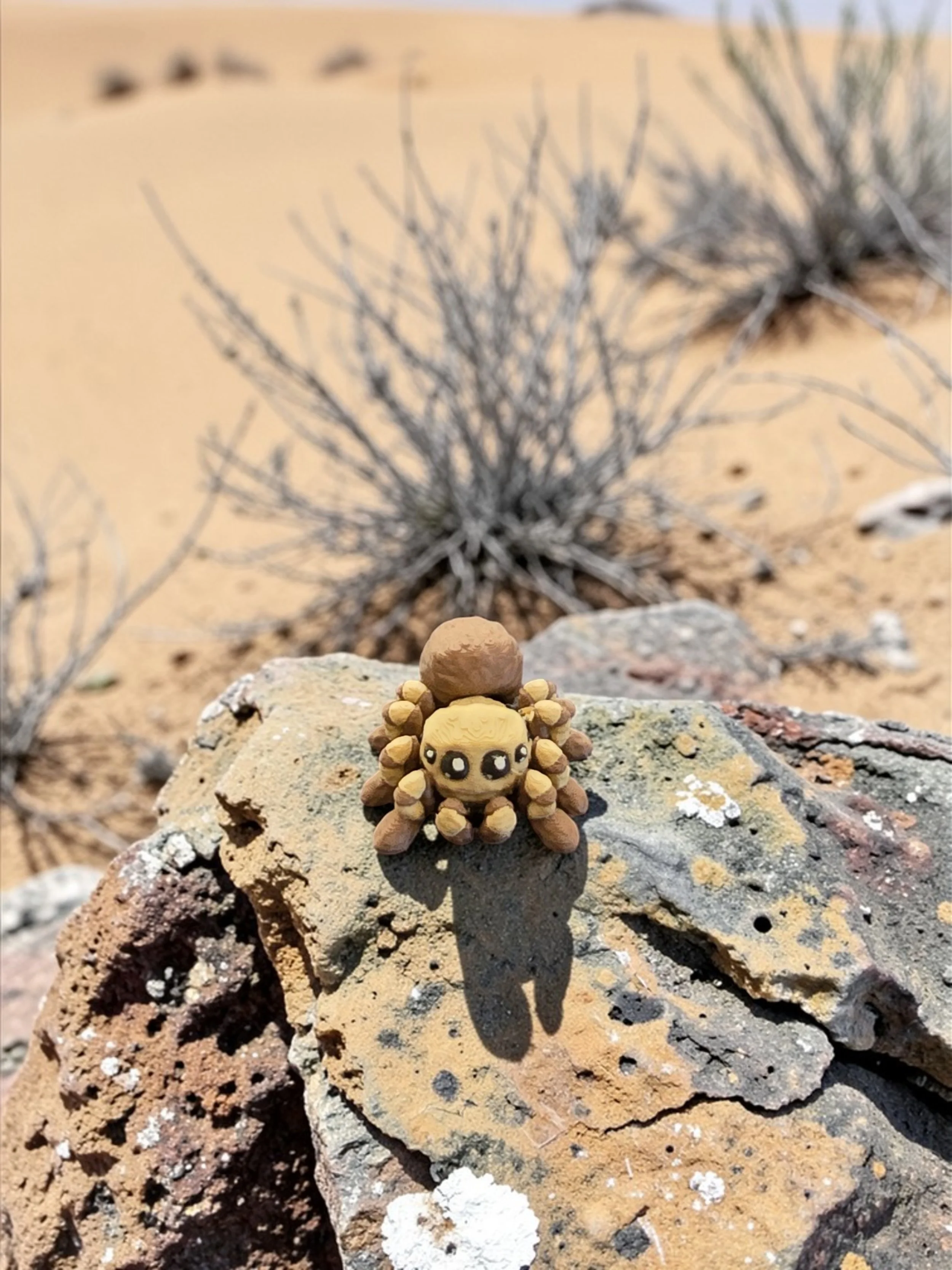 20251121_131219 (1).jpg