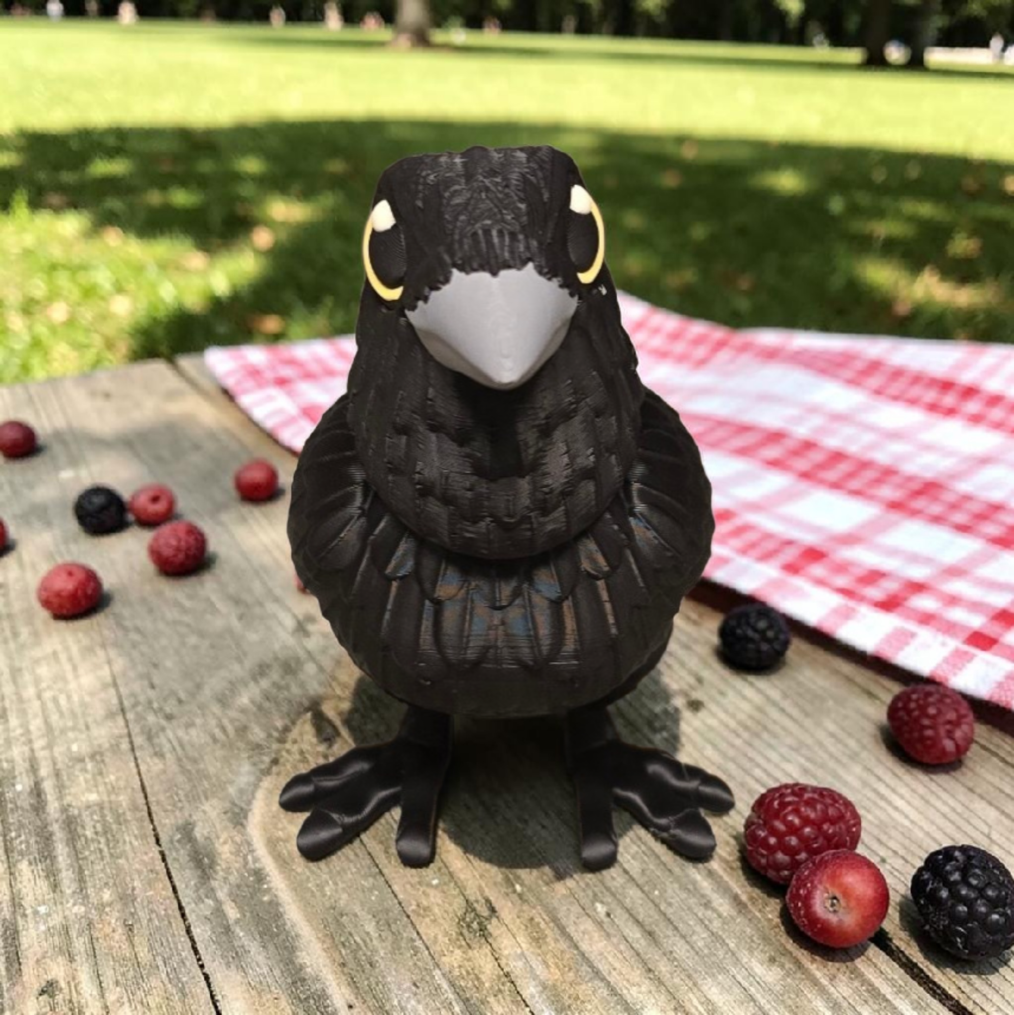 Raven