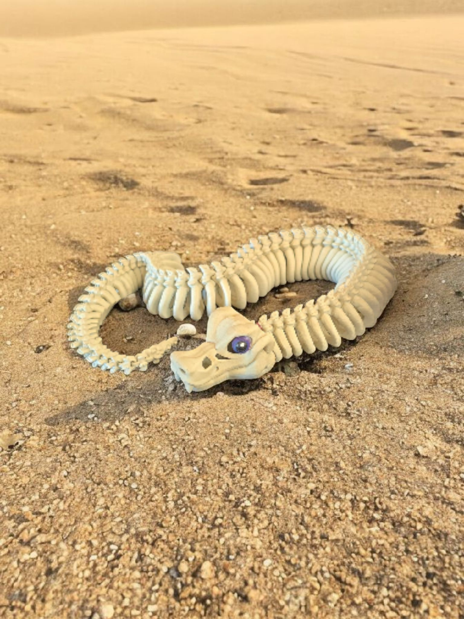 Snake Skeleton