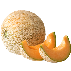 Cantaloupe