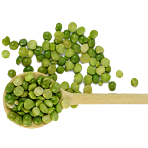 Lentils