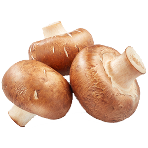 Mushrooms