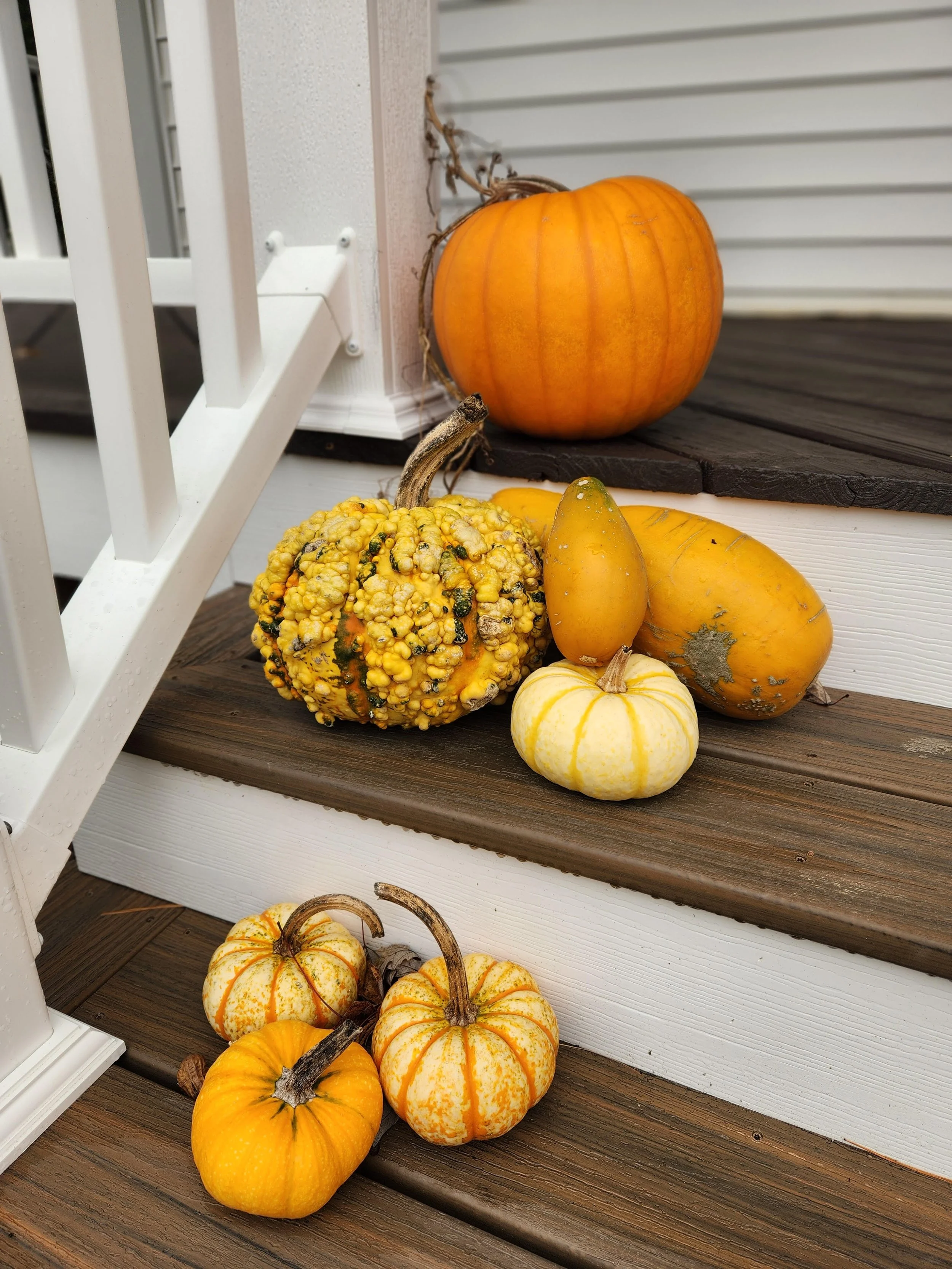 Have a minute to consider gratitude?