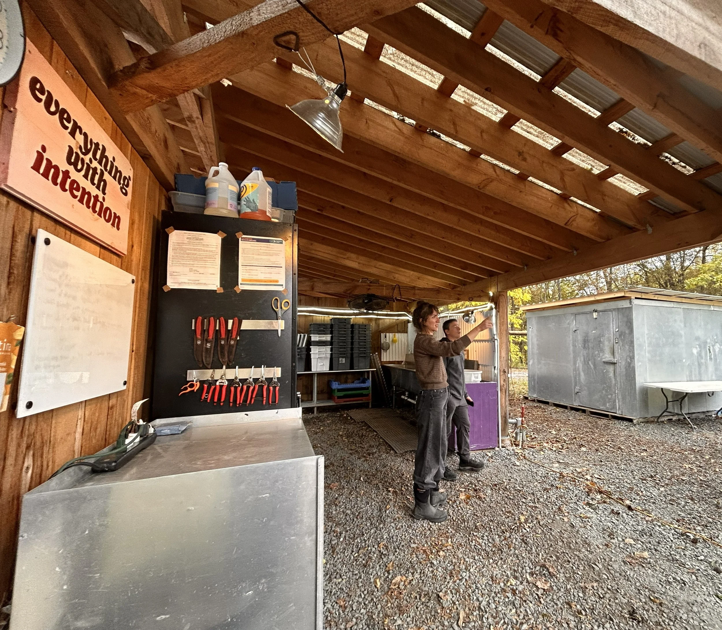 Edible uprising3.jpg