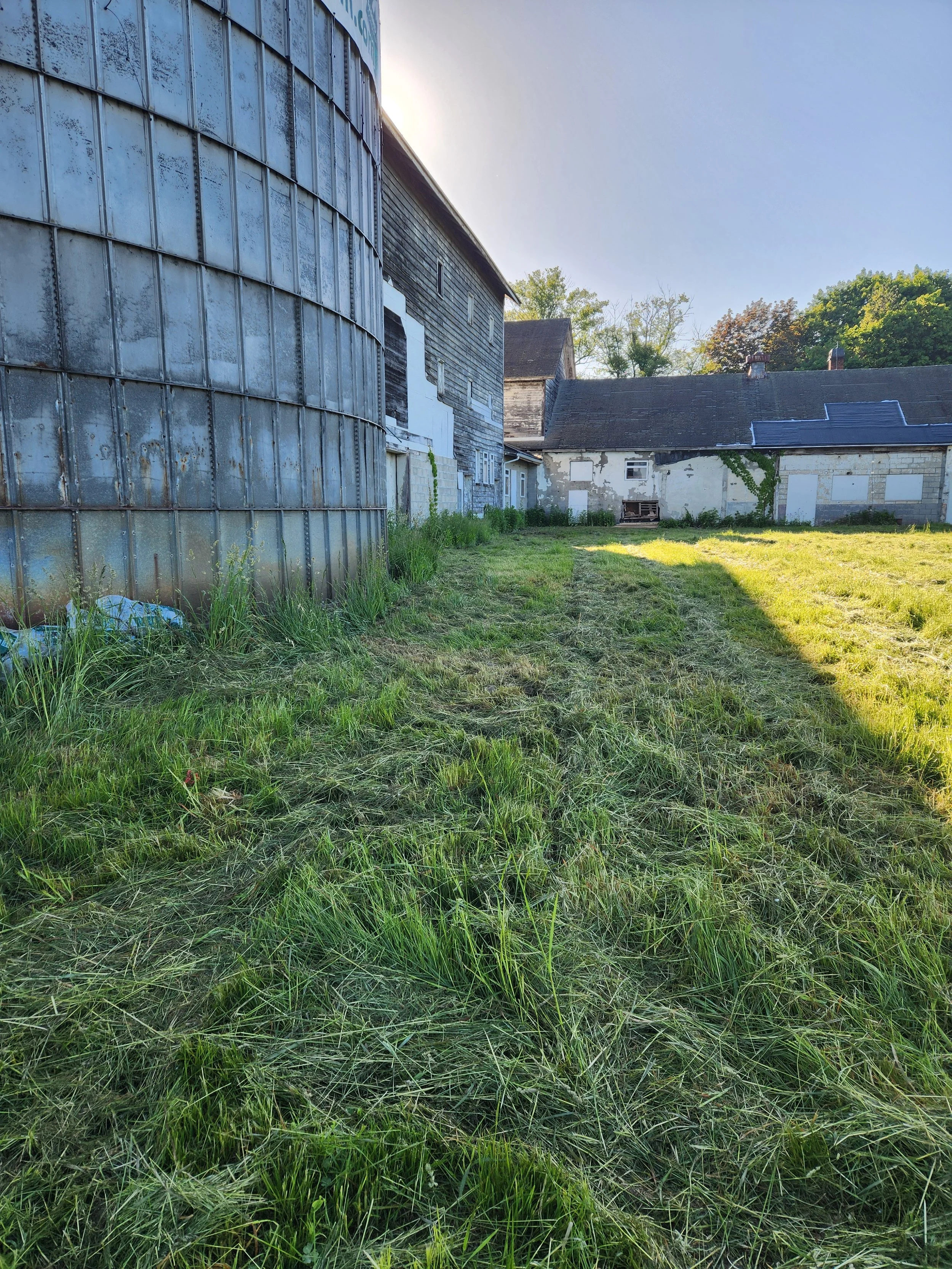 20260602_073536.jpg
