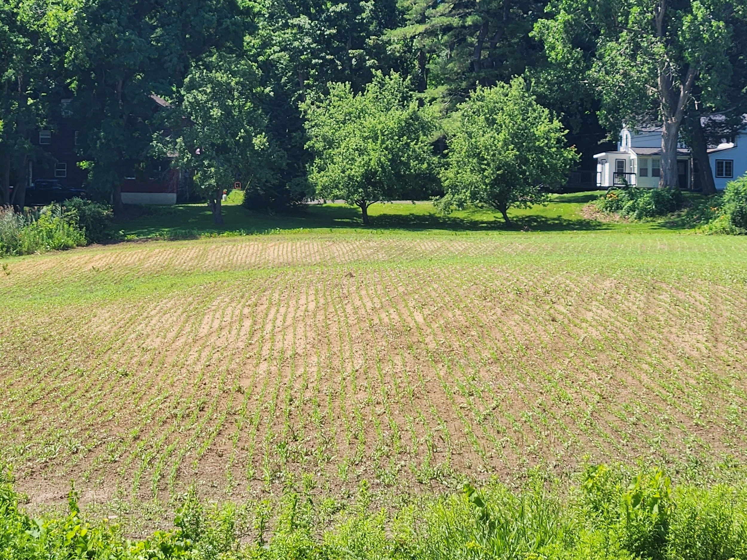 Preparation for NYS Soil Health Field Day at the Farm