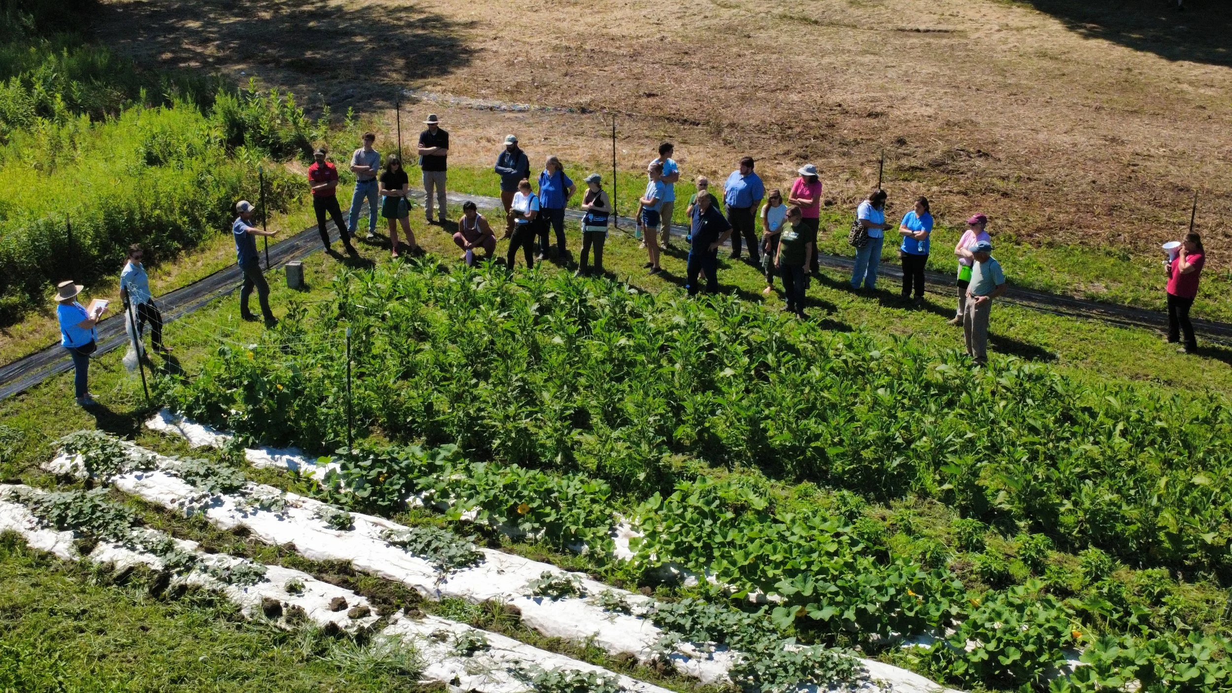 dji_fly_20260804_104156_34_1785854642934_photo_optimized.jpg