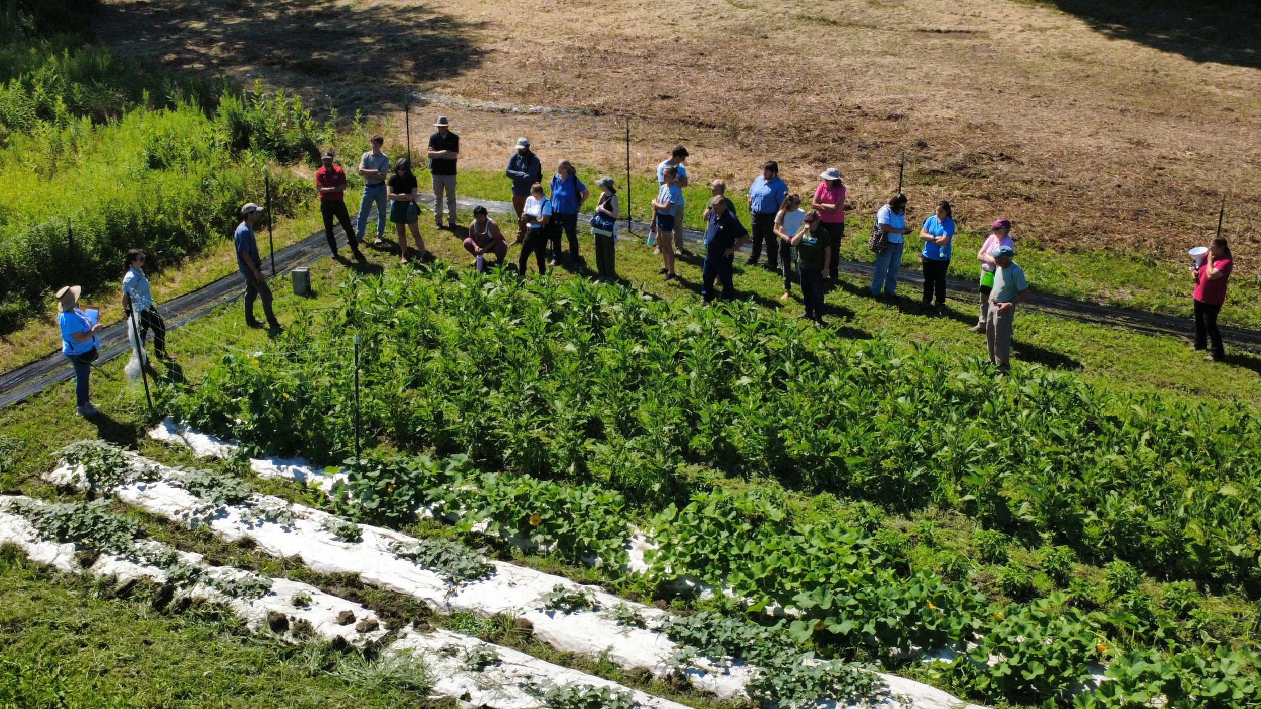 dji_fly_20260804_104154_33_1785854630214_photo_optimized.jpg