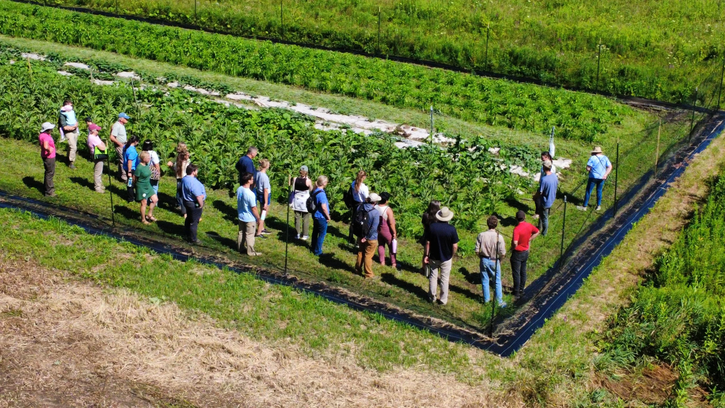 dji_fly_20260804_103828_31_1785854366764_photo_optimized.jpg