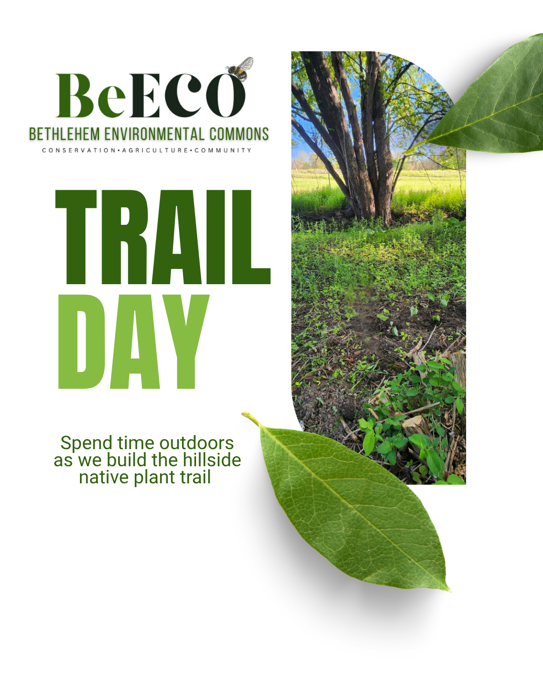 Trail Maintenance &amp; Fall Cleanup