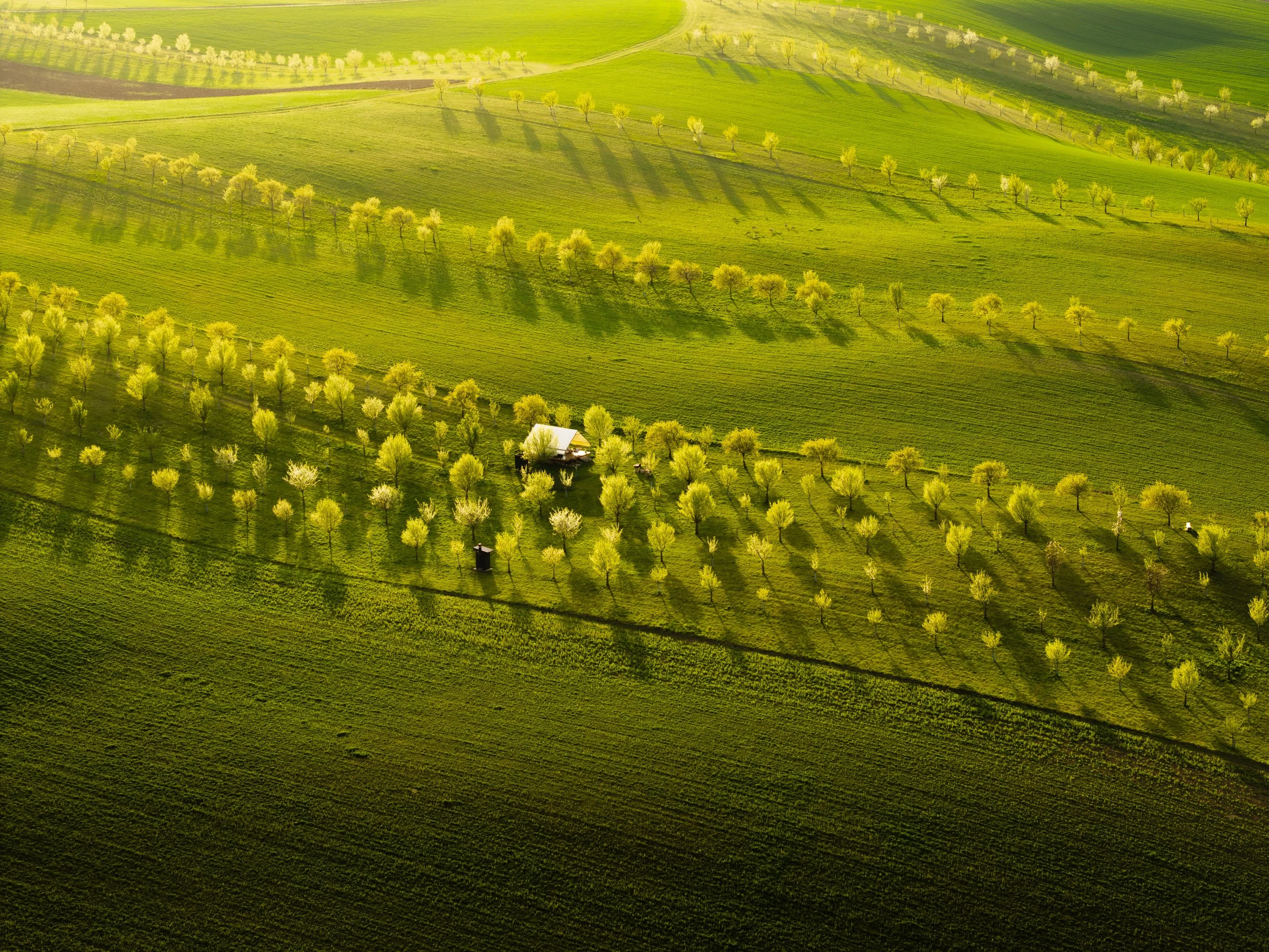 DJI_20250725130238_0165_D-HDR-Edit.jpg