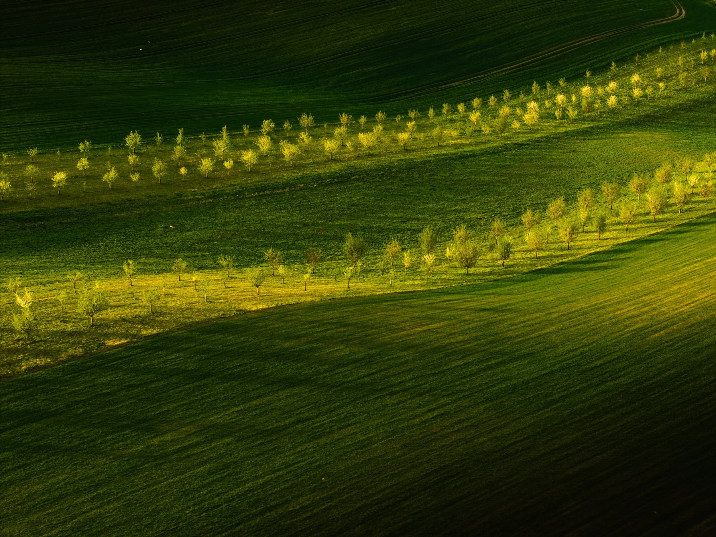 DJI_20250725131130_0205_D-HDR.jpg