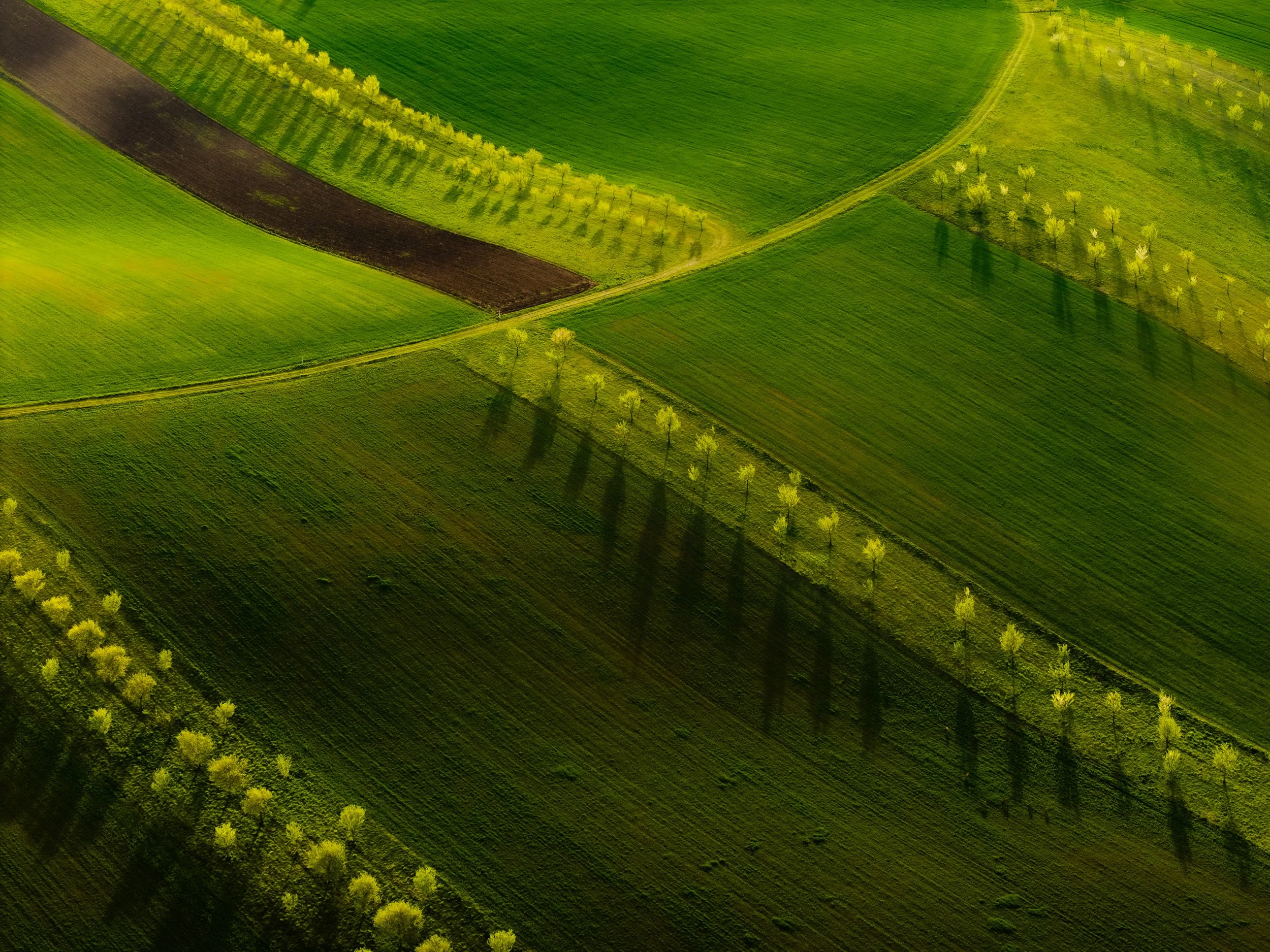 DJI_20250725125243_0092_D-HDR.jpg