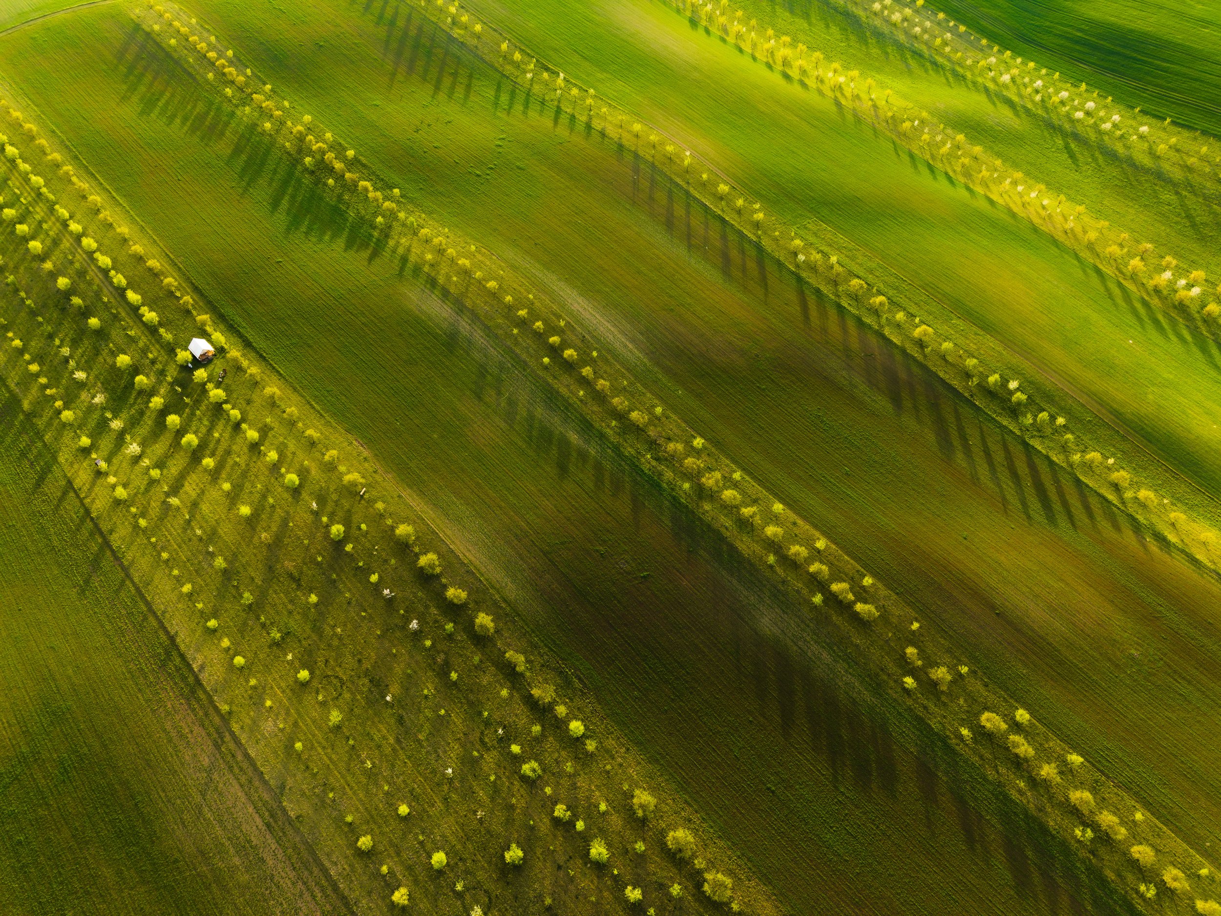DJI_20250725130205_0164_D-HDR-Edit.jpg