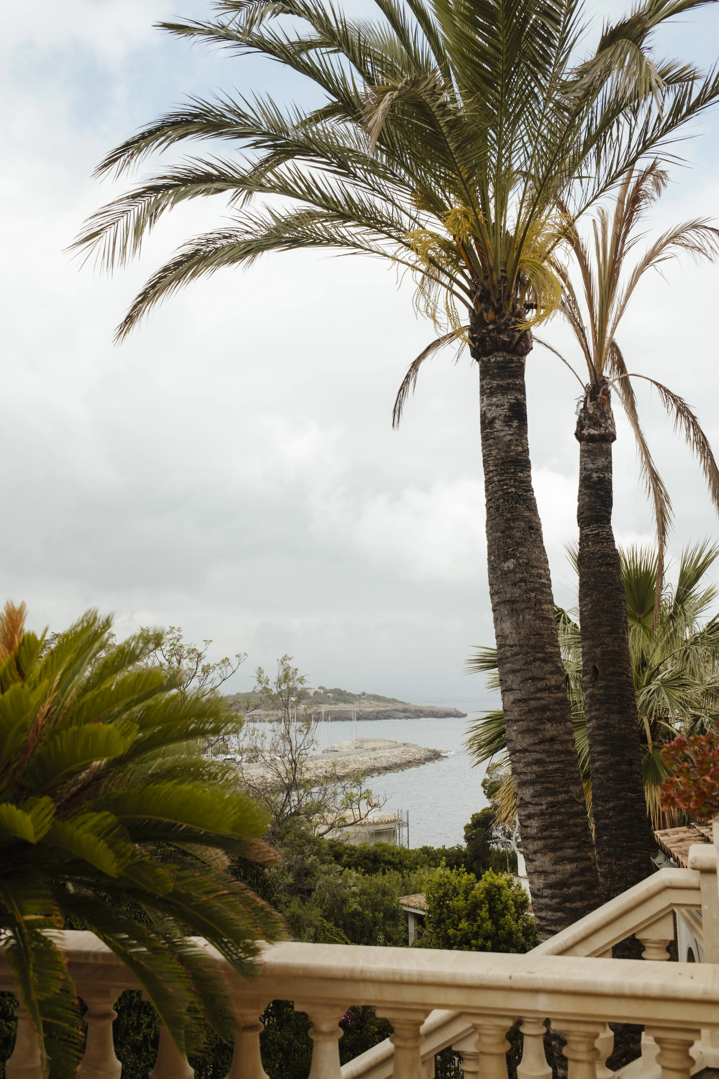 Blick von einer Terrasse mit beschädigten weißen Geländern auf einen Palmengarten, den See und das Meer im Hintergrund, bewölkter Himmel.