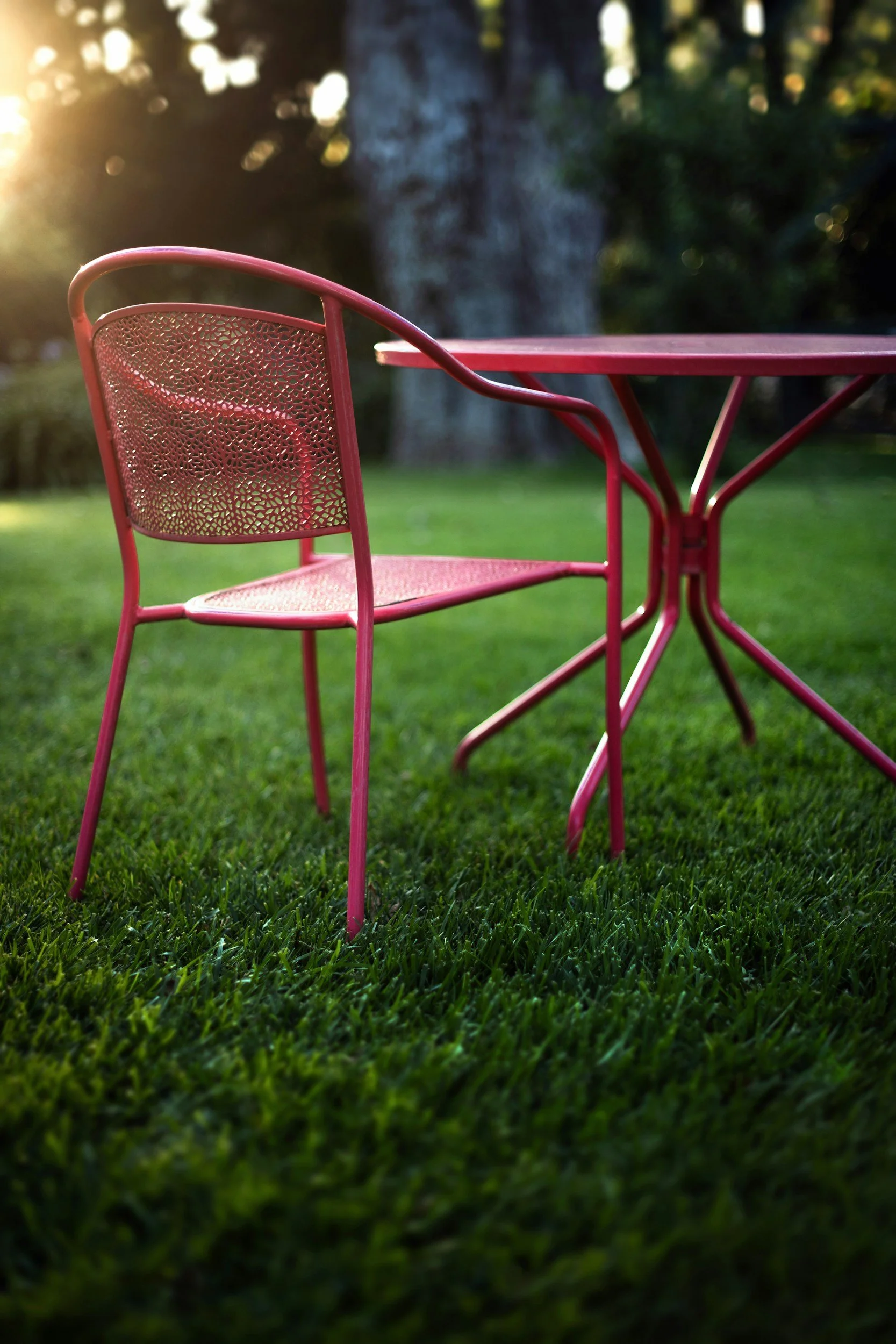Backyard Summer Party