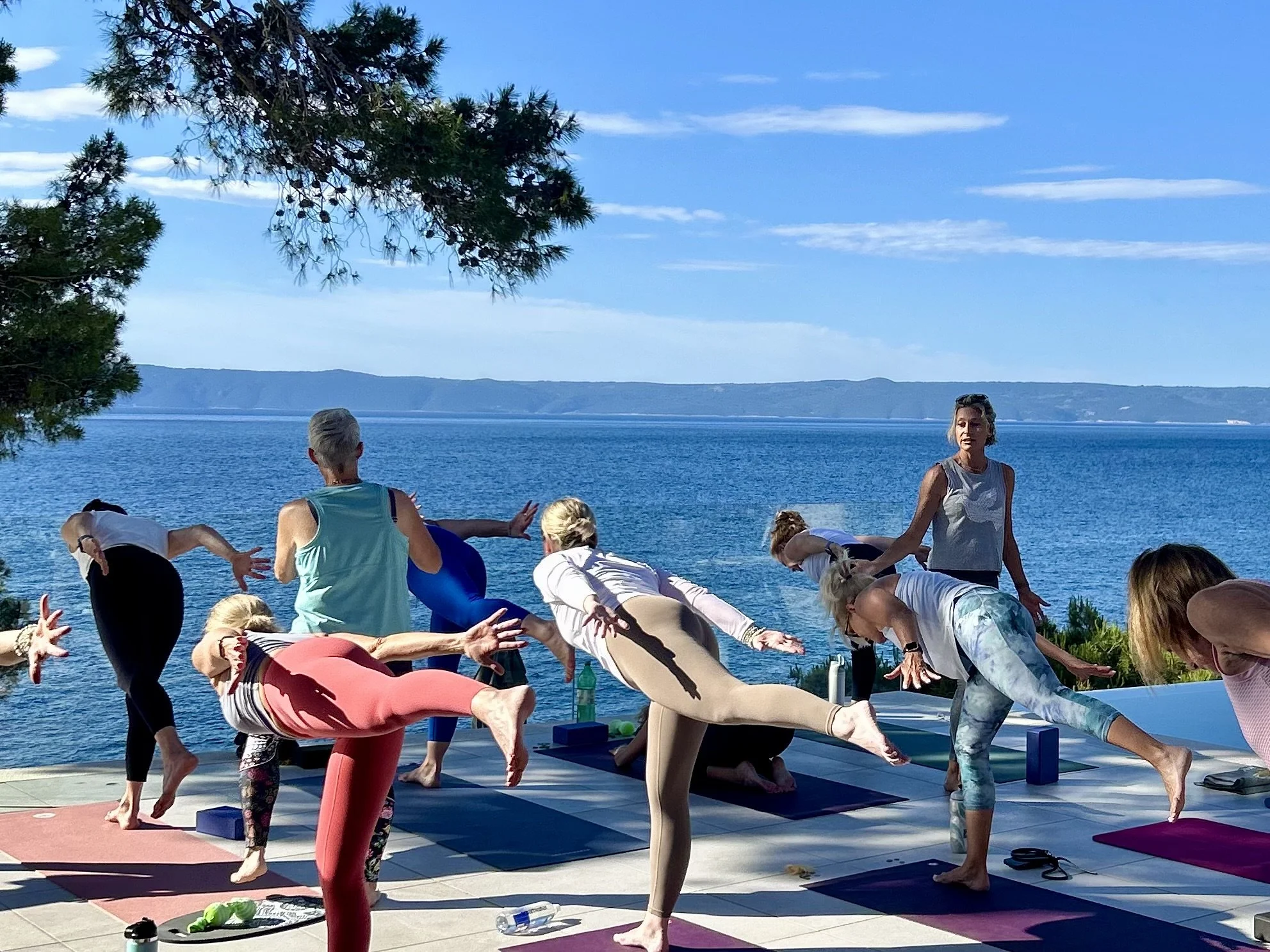 Group of people practicing yoga outdoors near a body of water, with a tree overhead and a scenic view of mountains in the background.