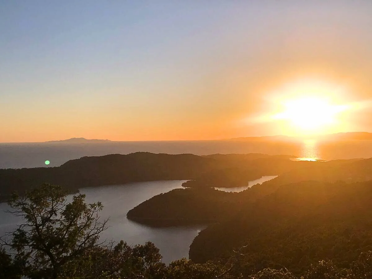 62a47c0a-11d0-41c2-9bd6-5ad7a288be3a - Edited.jpg