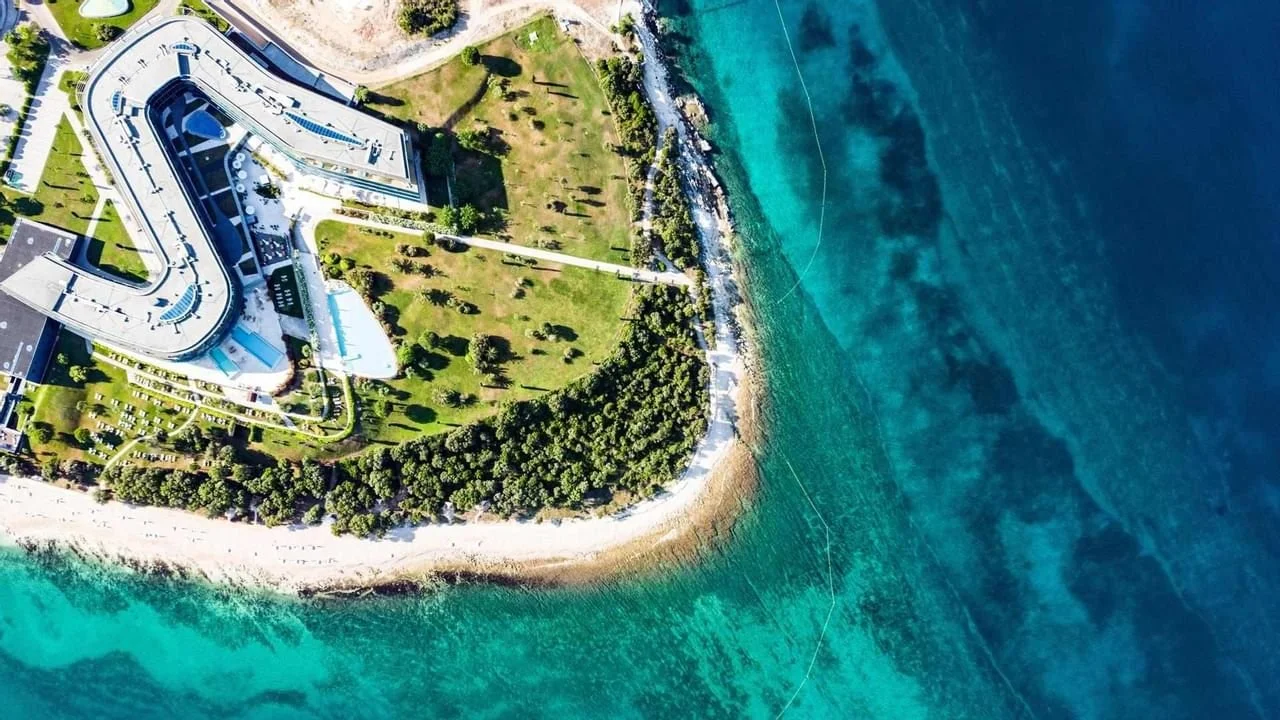 bird view.jpg