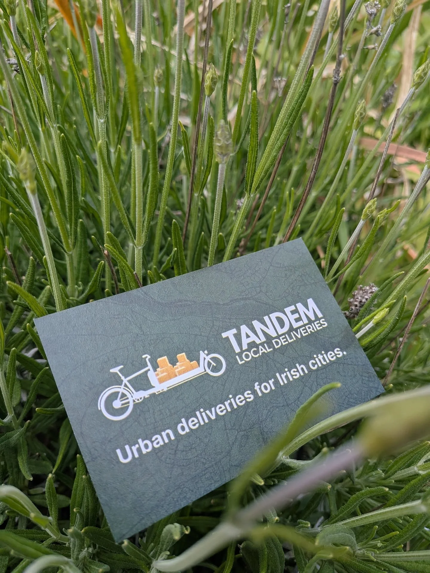 Keeping it green, from our wheels to our branding. 🌿🚲

​At Tandem, eco-friendly isn't just a buzzword, it's how we operate every single day. We're proud to offer Waterford businesses a fast, reliable, and 100% emission-free way to handle local deli