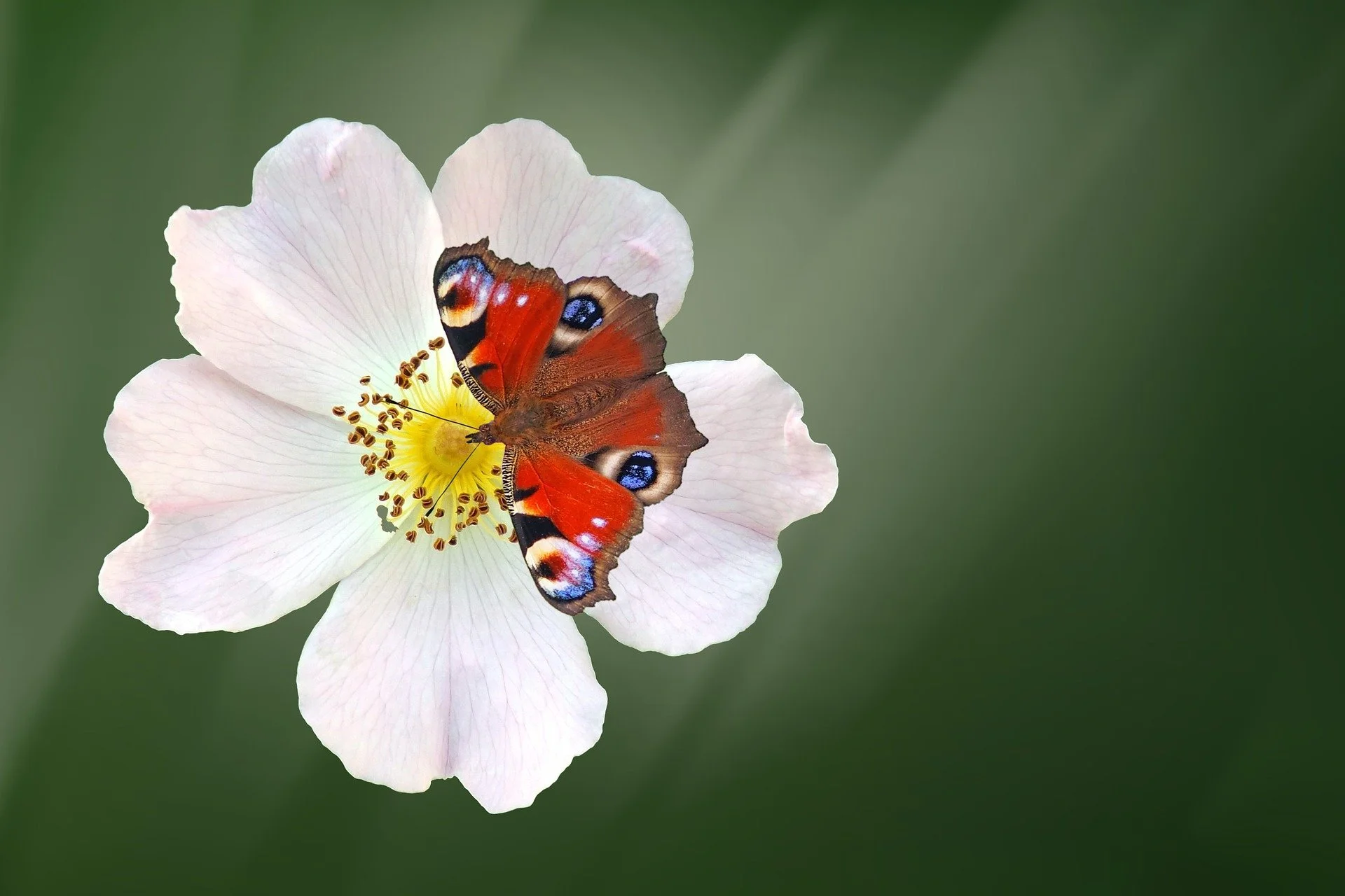 Ask 3 Questions Psychic Mediumship Email Reading