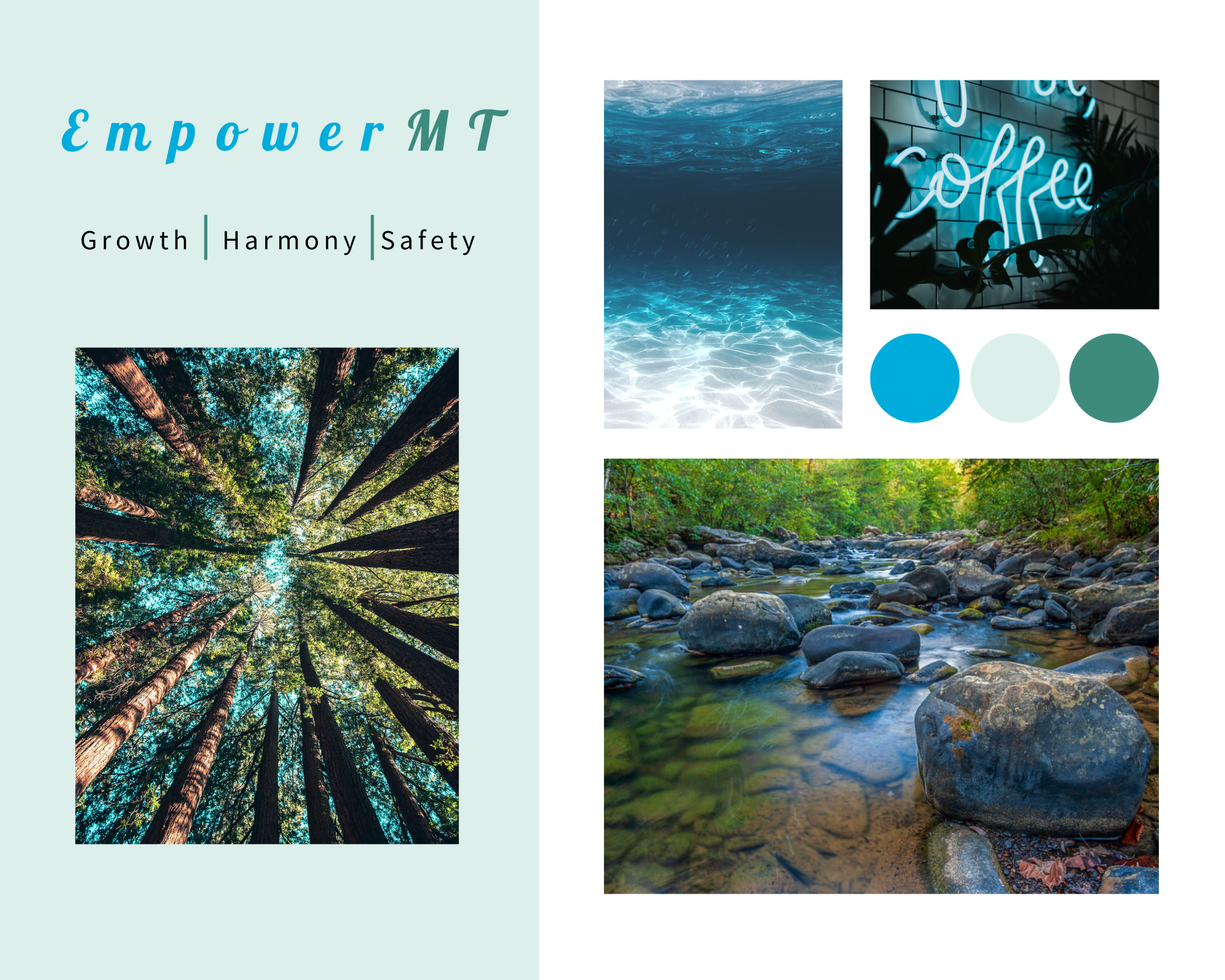 A collage featuring a forest viewed from below with tall trees reaching into the sky, an underwater view of a water surface with light reflections, a neon sign reading 'Coffee' on a brick wall with plants, and a rocky stream with clear water surrounded by green trees.