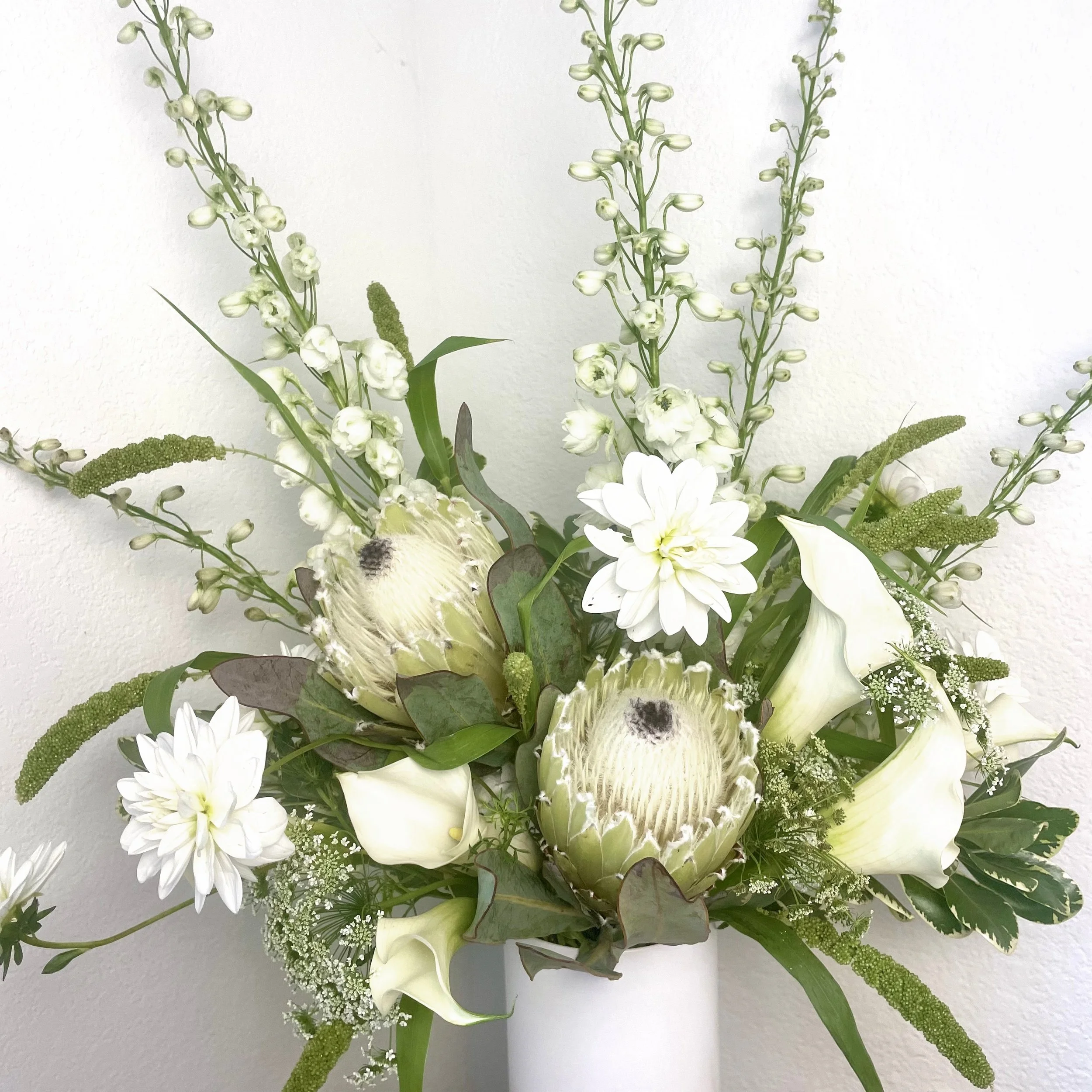 White Protea - color corrected.jpg