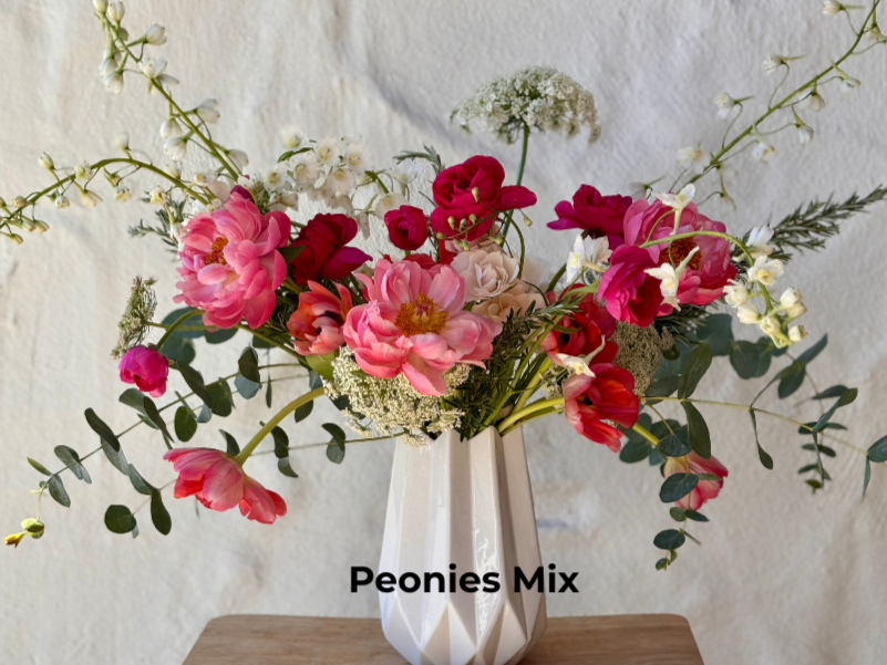 Peonies.png