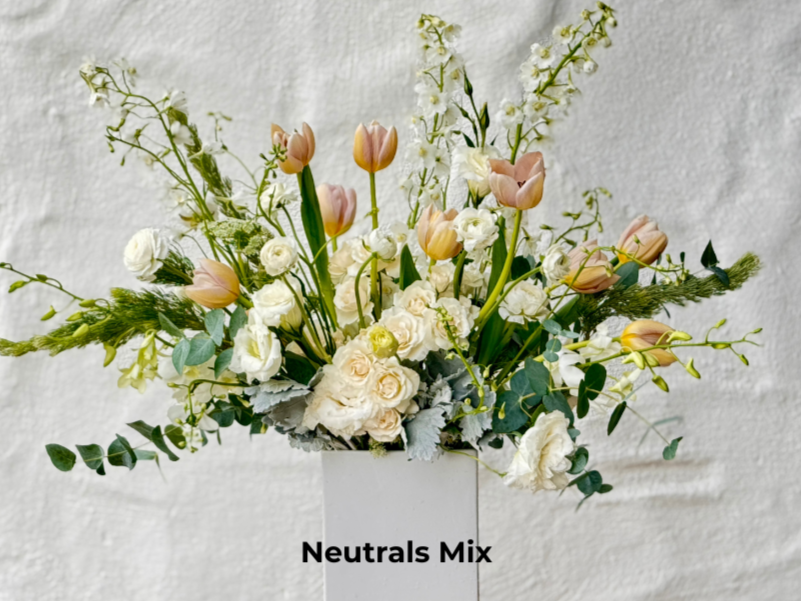 Neutrals+Mix.png