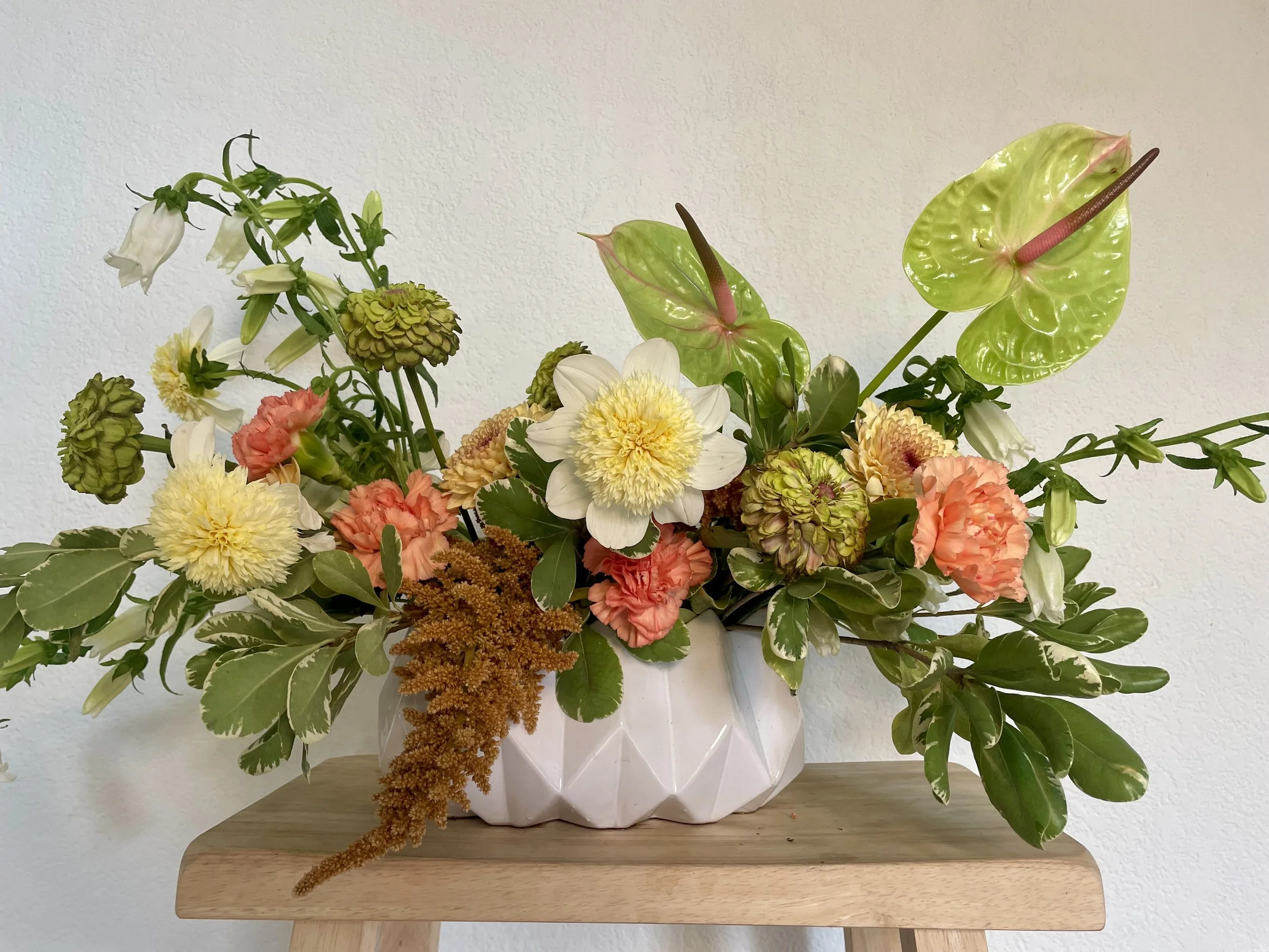 Seasonal Designer's Choice