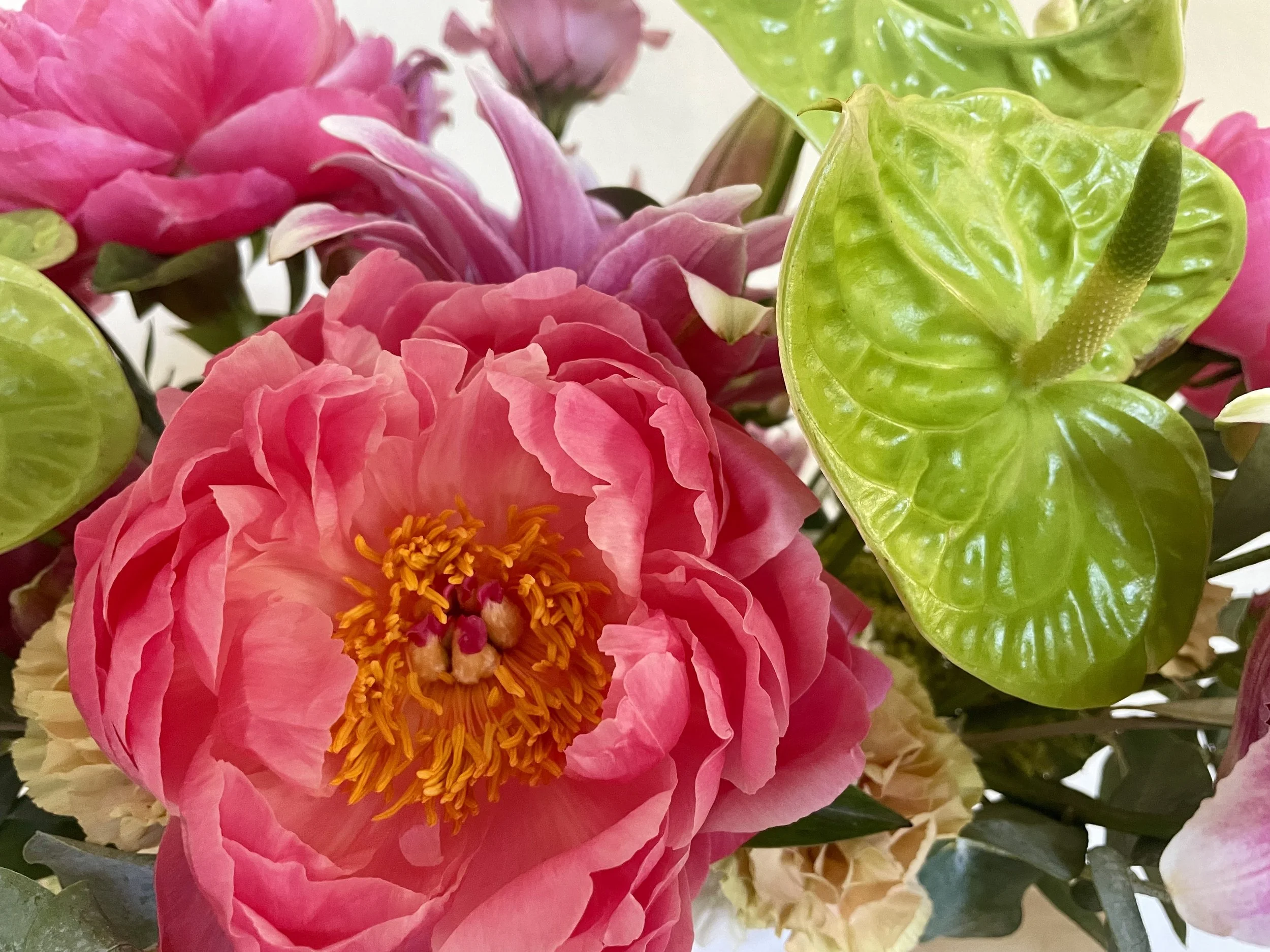 peony:anthurium.jpg