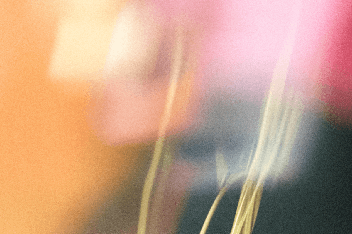 12. Light Flora Collection Textures.png