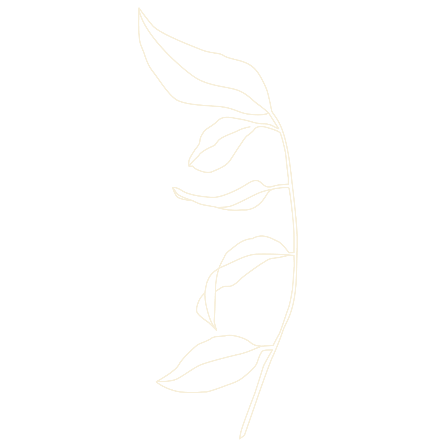 Dibujo en línea de una rama de planta con varias hojas, en color dorado, sobre fondo negro.