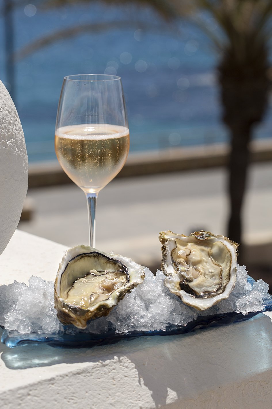 Vasos de vino espumoso y ostiones abiertos sobre hielo en una mesa frente al mar.