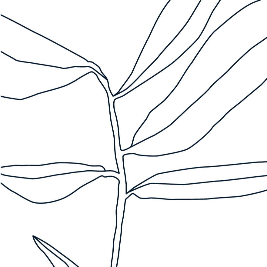 Dibujo técnico de estructura de una planta con líneas azules en fondo negro.