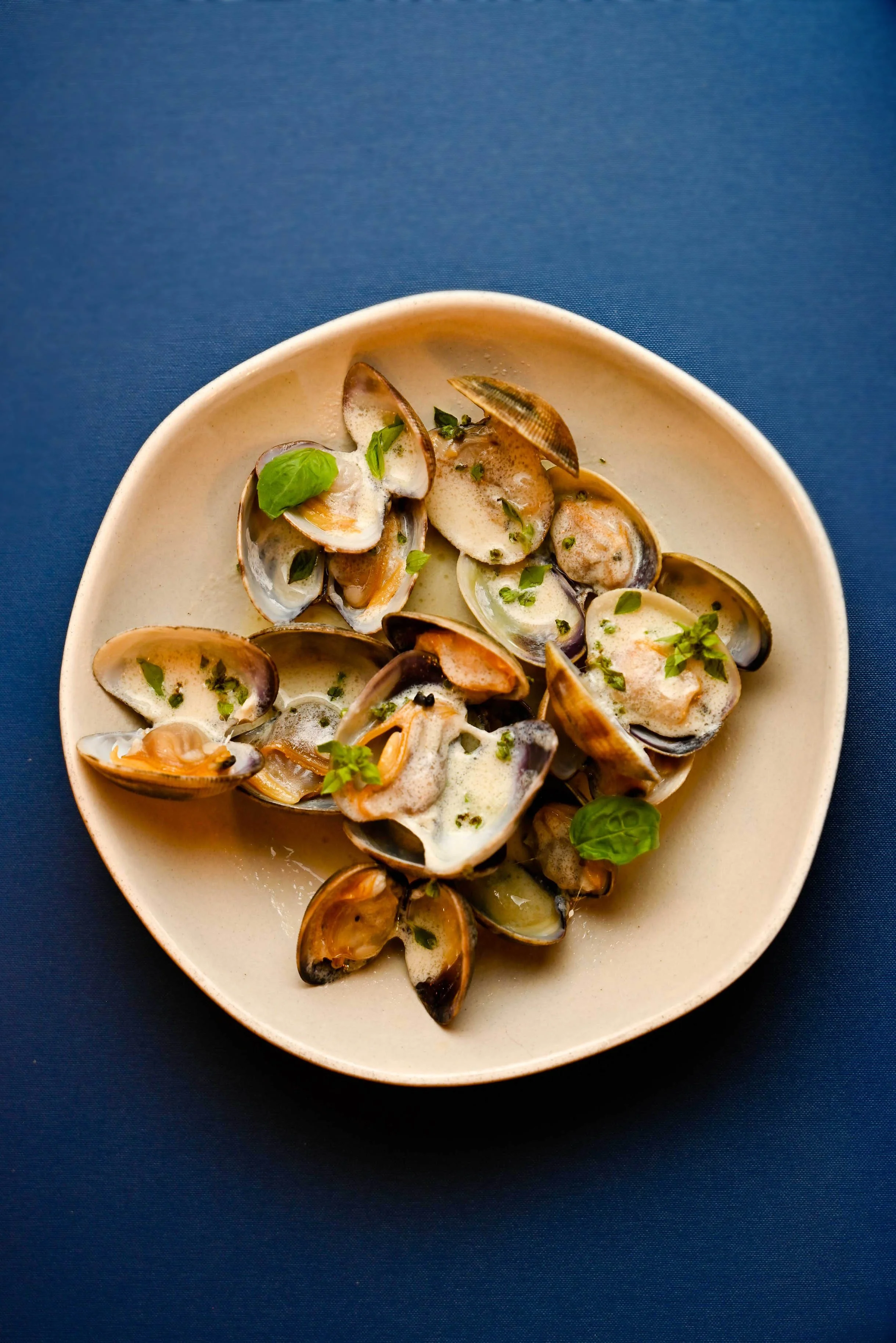 Mejillones en salsa con hierbas frescas en plato crema sobre fondo azul.