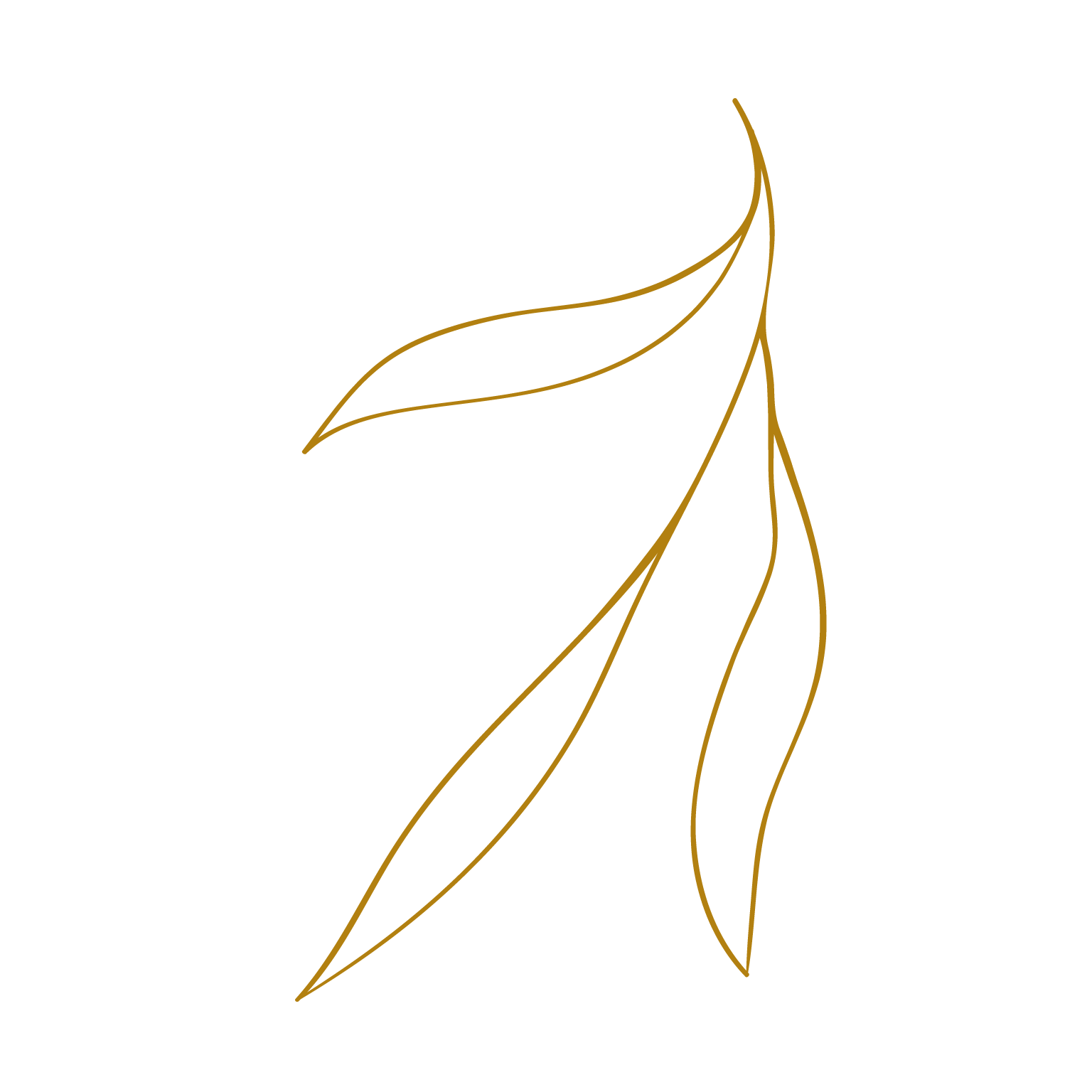 Ilustración minimalista de hojas doradas en diseño lineal sobre fondo negro.