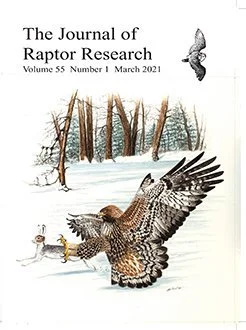 Cover of The Journal of Raptor Research, March 2021, Volume 55, Number 1, featuring a snowy forest scene with a hawk flying and hunting ducks on a frozen pond.