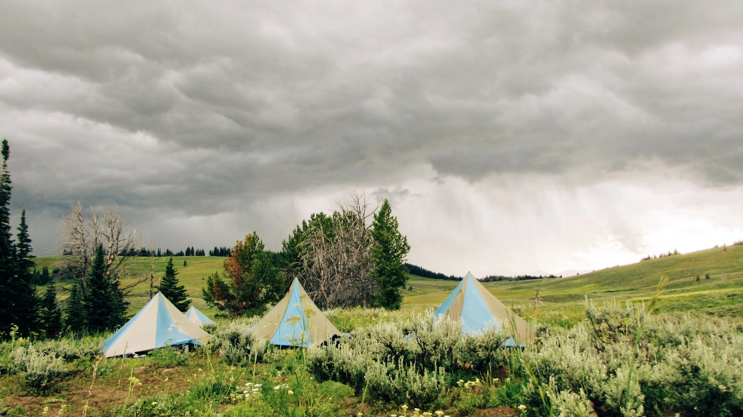 A grassy field with several blue and beige tents, trees, and cloudy sky, possibly during a storm.