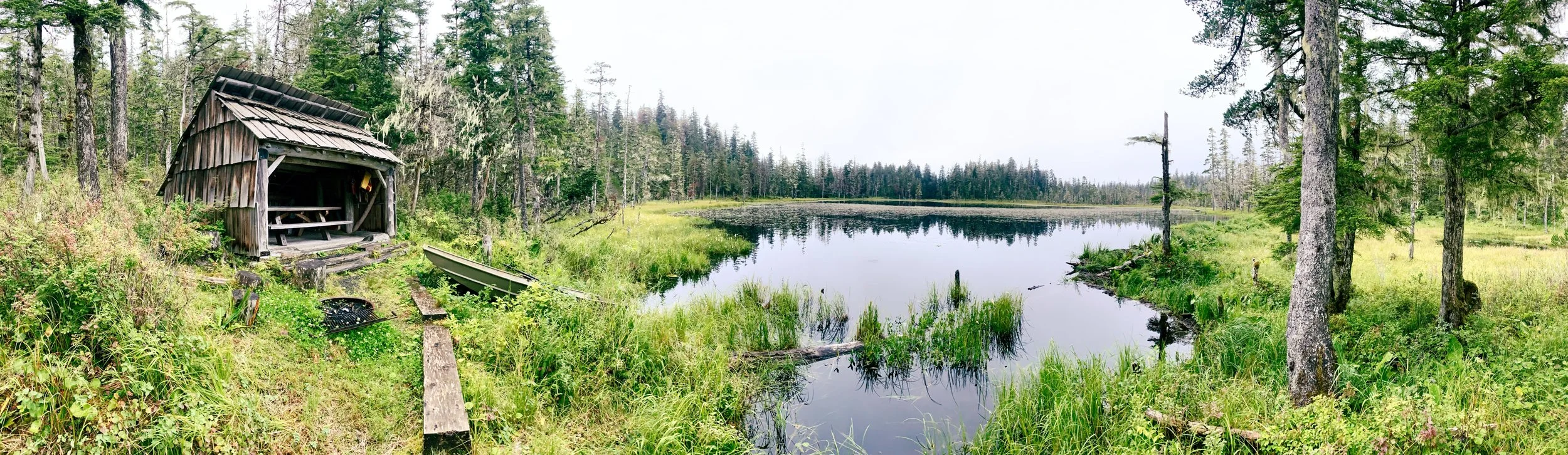 A peaceful lakeside scene with a small wooden shelter, a boat, and lush greenery surrounded by a dense forest of trees.