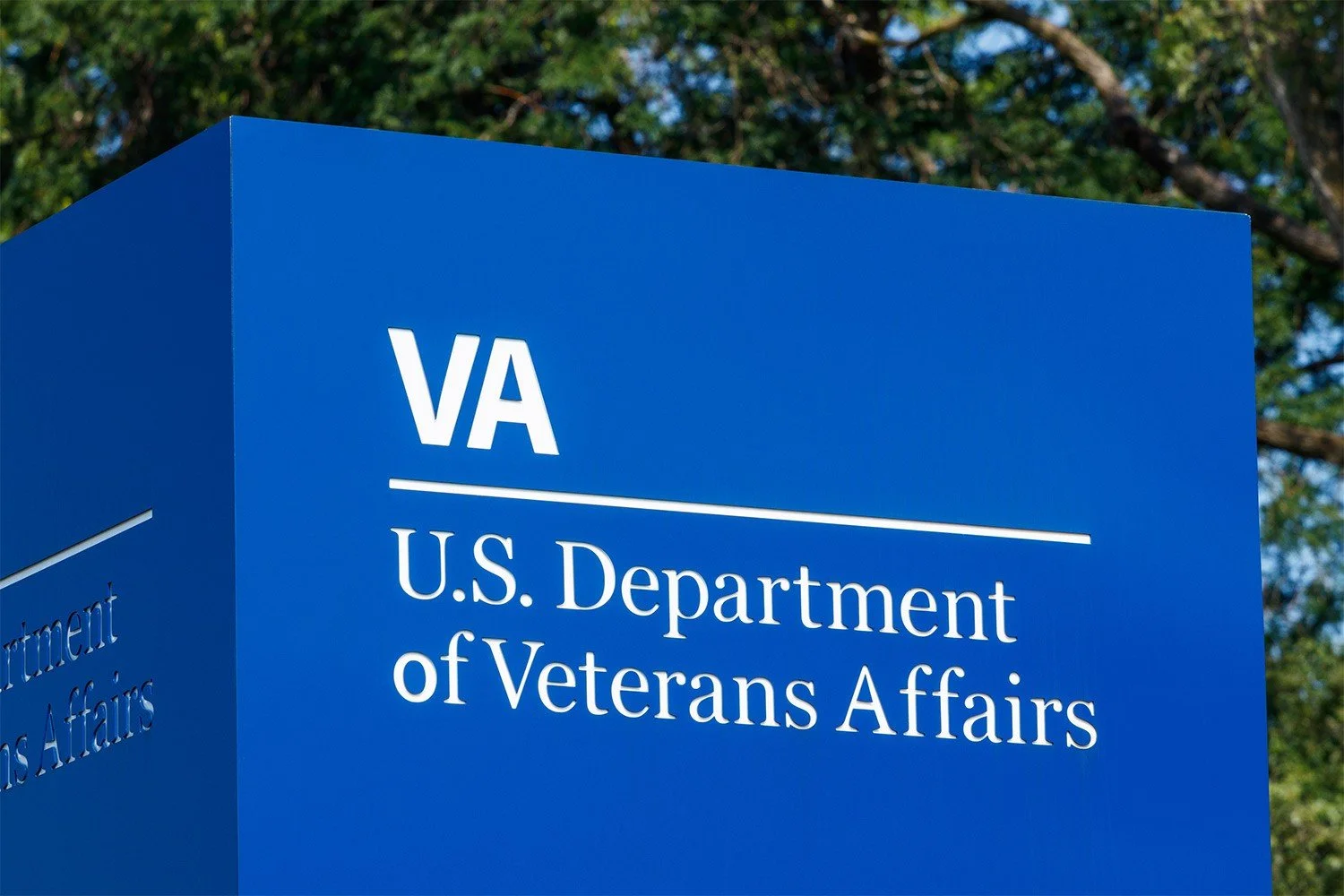 VA Disability Initial Claim & Consultation
