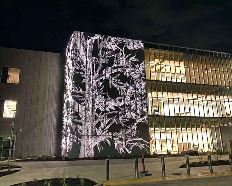 A modern building at night with a large outdoor LED display showing a black and white image of plant leaves.