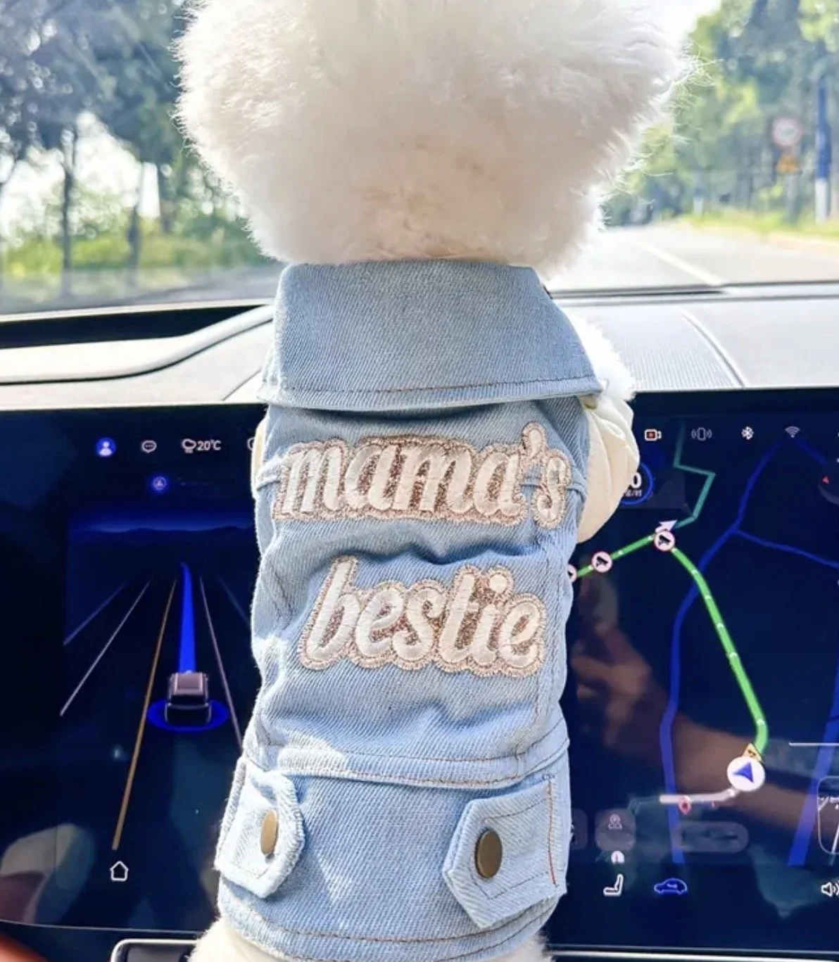 Mom’s Bestie Dog Jean Denim Vest - PREORDER