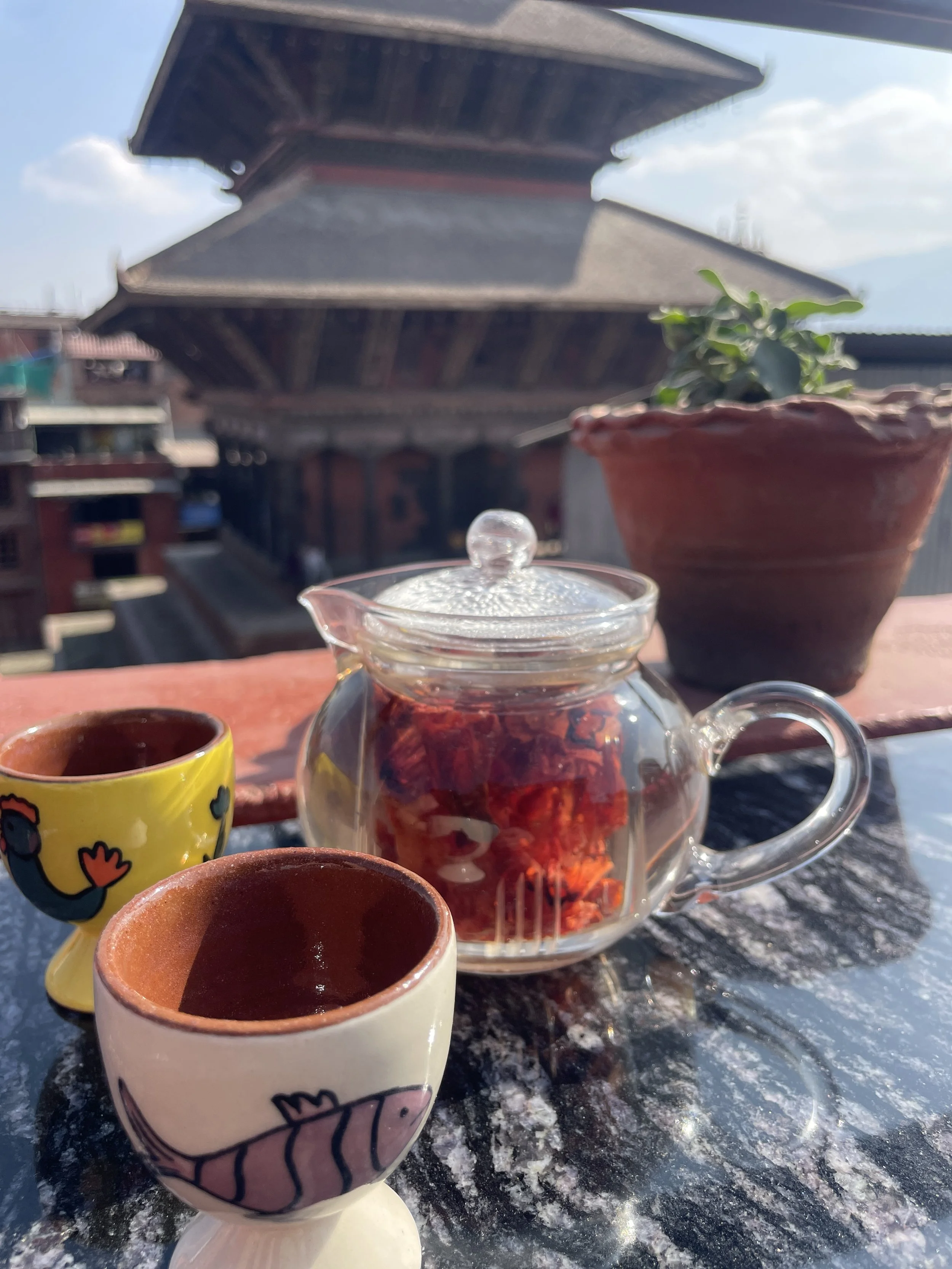 A glass teapot filled with rhododendron tea with a round lid, two small ceramic cups with animal designs, and a potted plant on a balcony table outdoors with a pagoda-style temple in the background.